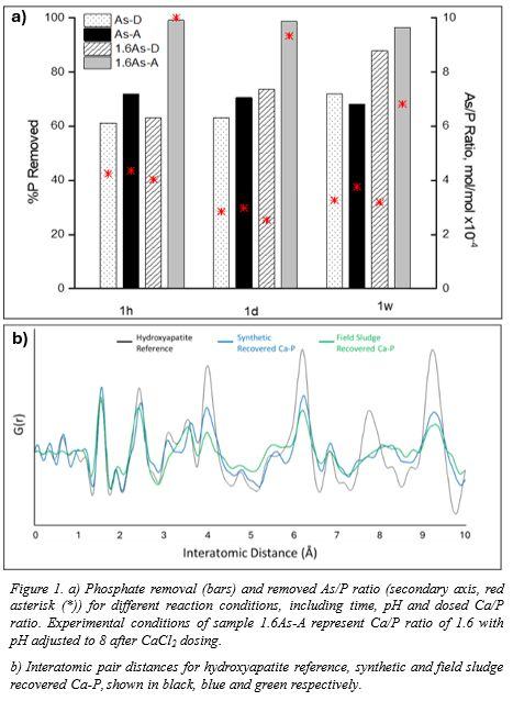 Phosphate recovery characterization figure
