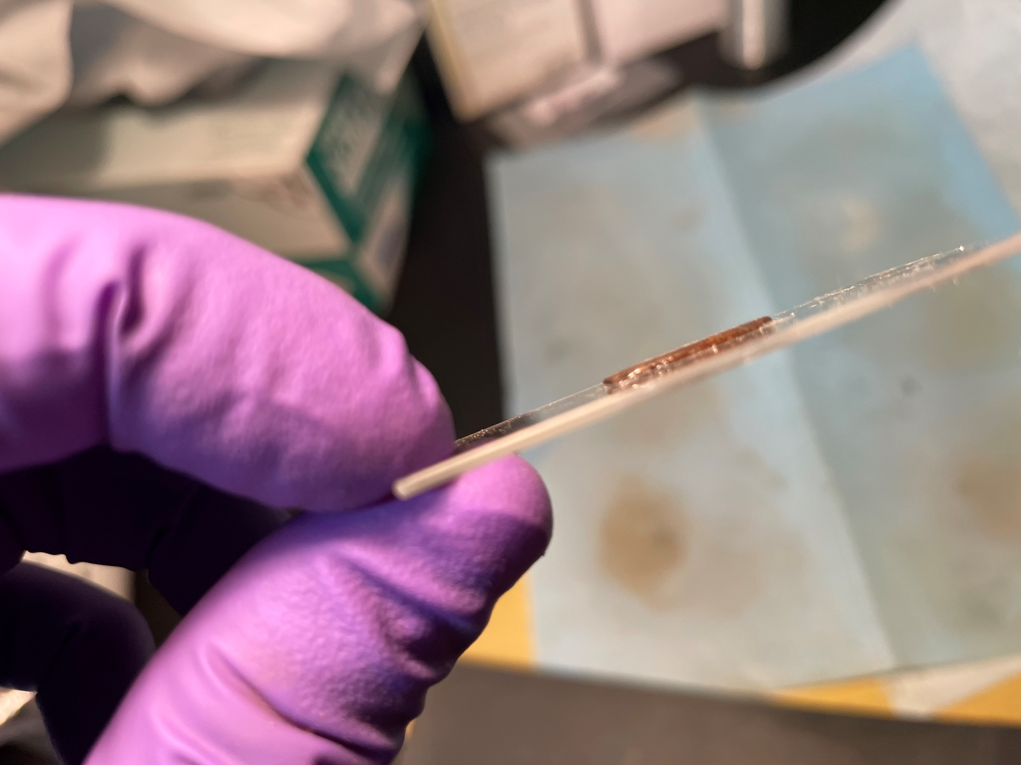 Gloved hand holding a sludge sample mounted for X-ray characterization